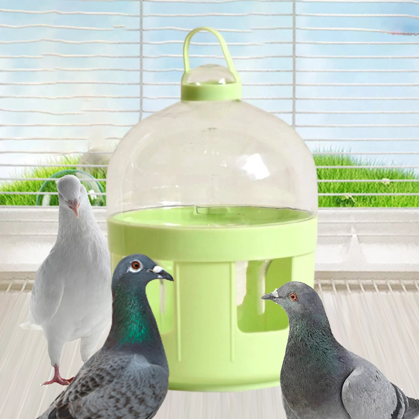 Pigeon Automatic Water Feeder Accessories Pigeon Feeder Hanging Pigeon Feeder Waterer for Quail Duck Parakeet Canary Outdoor