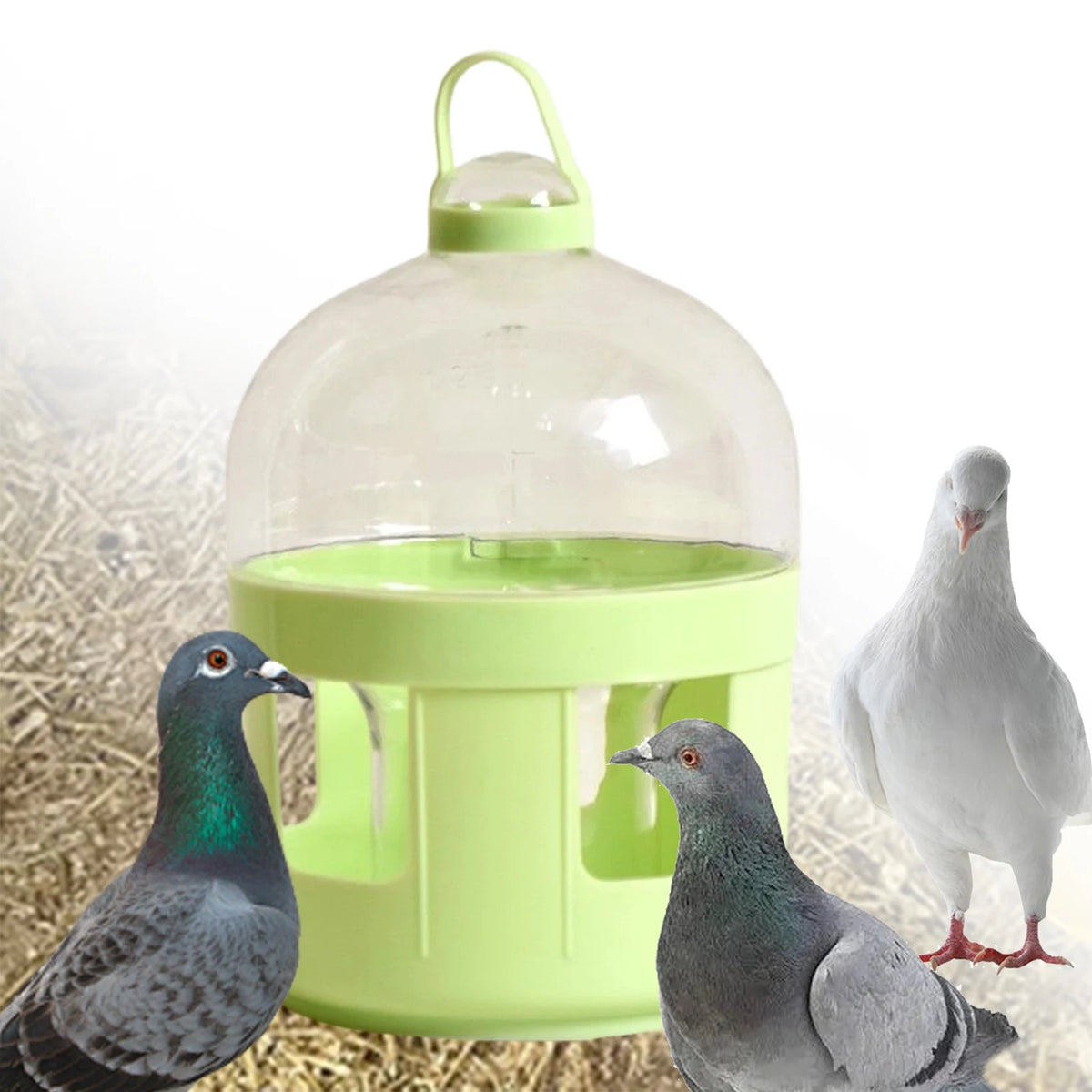 Pigeon Automatic Water Feeder Accessories Pigeon Feeder Hanging Pigeon Feeder Waterer for Quail Duck Parakeet Canary Outdoor
