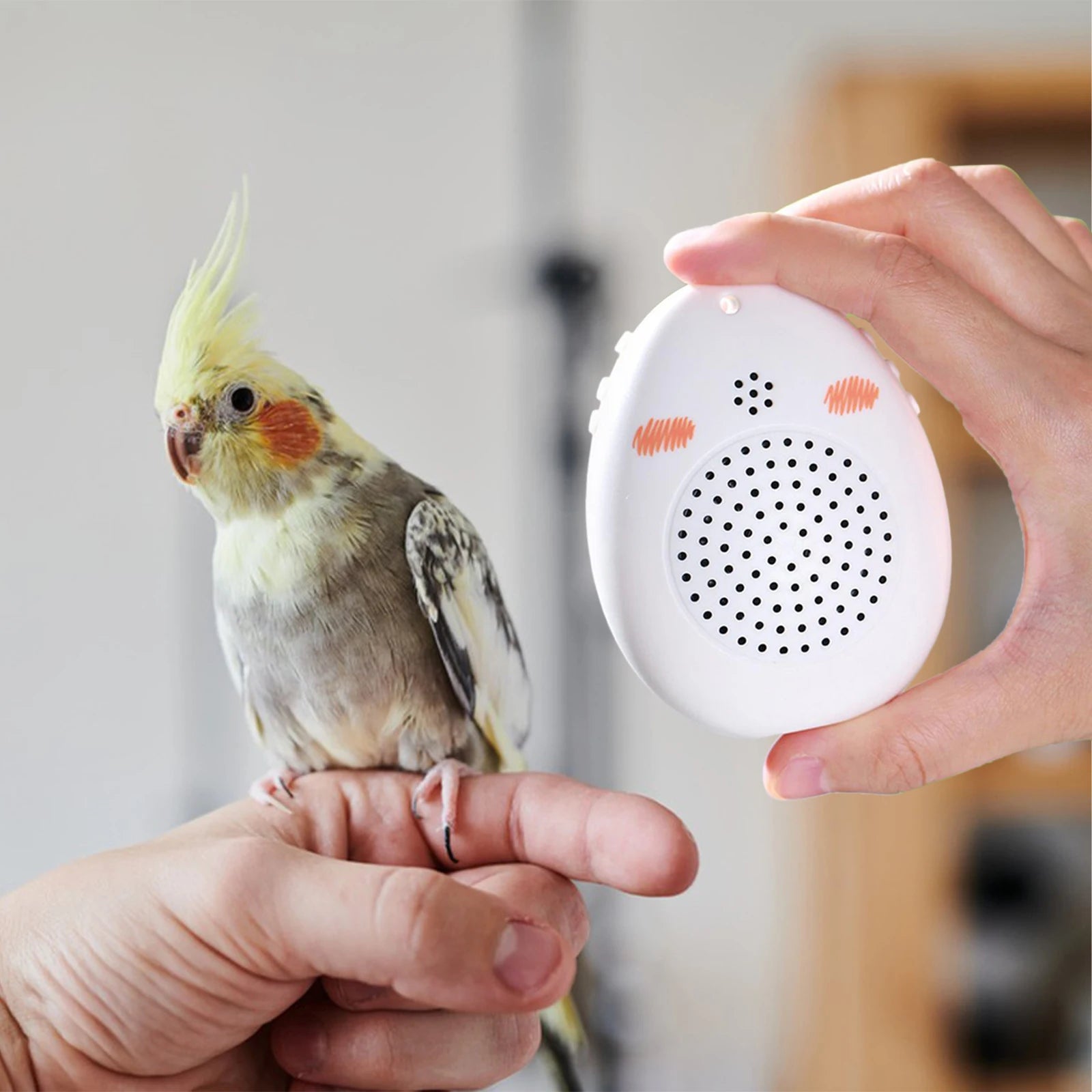 Bird Learning Machine Portable Teach Talking Singing Parrot Toy Bird Toy Parrot Talking Coach for African Grey Cockatiel Mynah