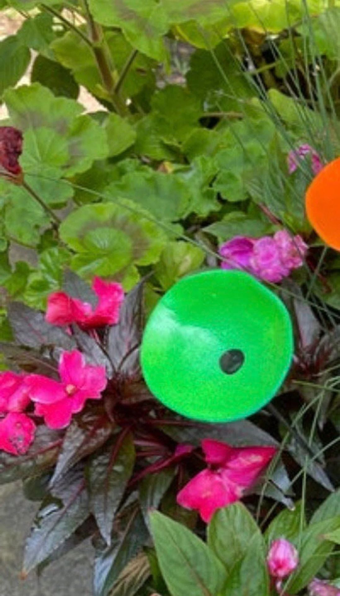 2Pcs Vibrant Floral Bee Water Station with Beads Outdoor Garden Insect Butterfly Drinking Cup Hummingbird Feeder Yard Art Decor