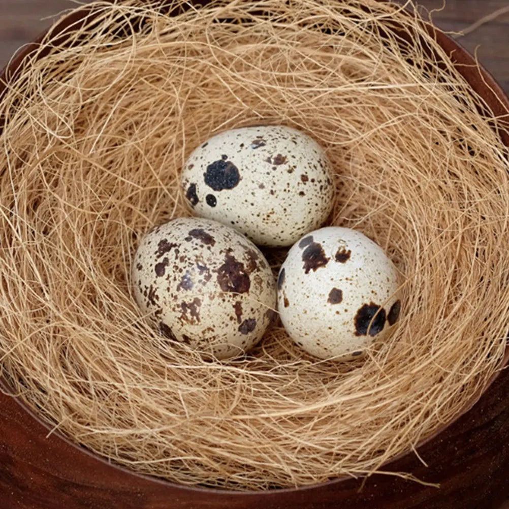 Natural Coconut Fiber Bird Nesting Pad Reusable Eco-Friendly Nest Material for Small Animals Pigeon House Lining