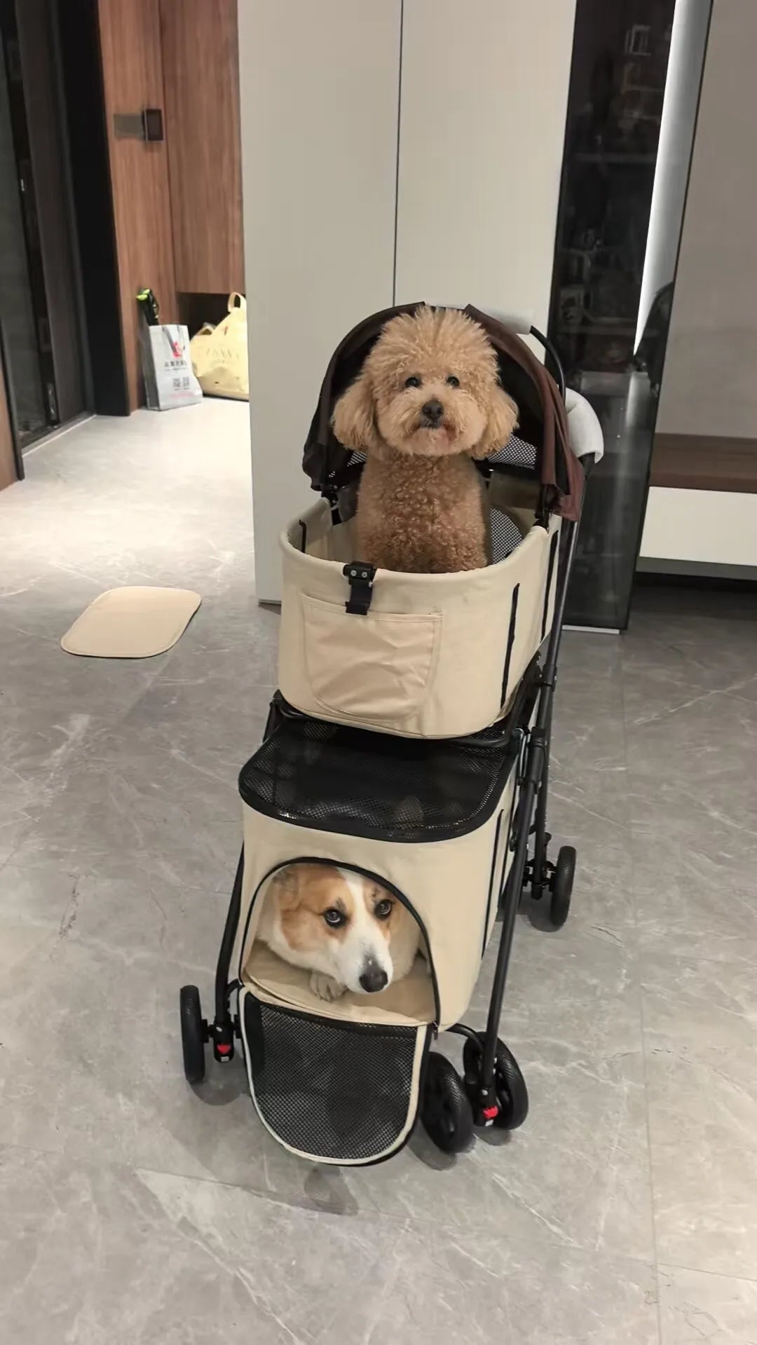 Double Pet Stroller with Detachable Carrier for Medium Small Dogs and Cats Durable Universal Wheels with Brakes Max for 30LBS