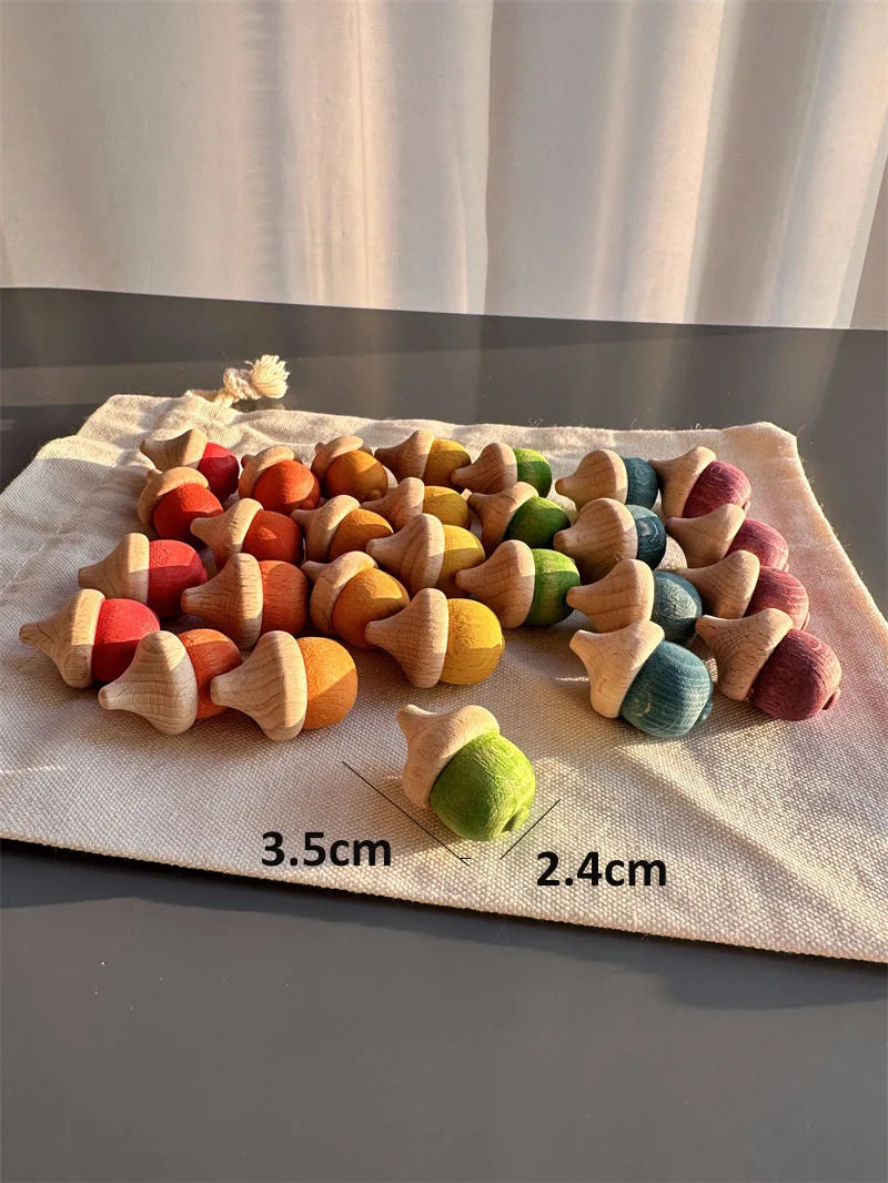 Rainbow Wooden  Blocks Loose Parts Toys Pastel Beech Acorns for Kids Open-end Play