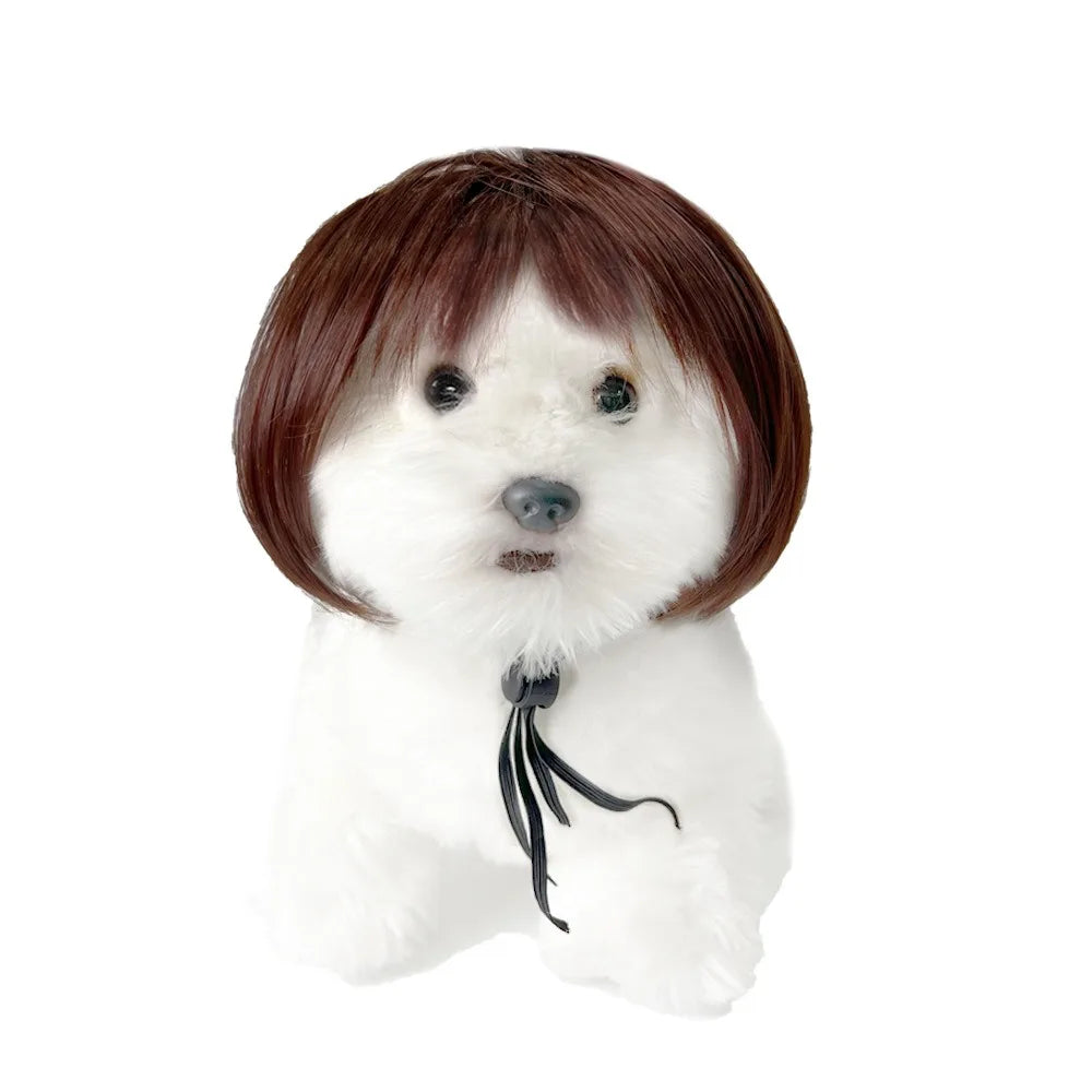 Cute Funny Pet Wig Adjustable Elastic Band Design Cat Wig Dog Wig Pet Cosplay Props Photography Prank Gifts