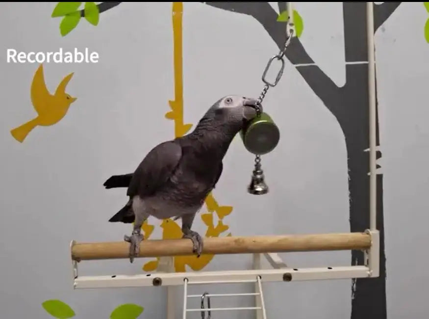 Parrot Toys to Teaching Training Bird Talking Coach Interactive Recording Playback Retell Electronic Voice Chewing Tearing  Bell