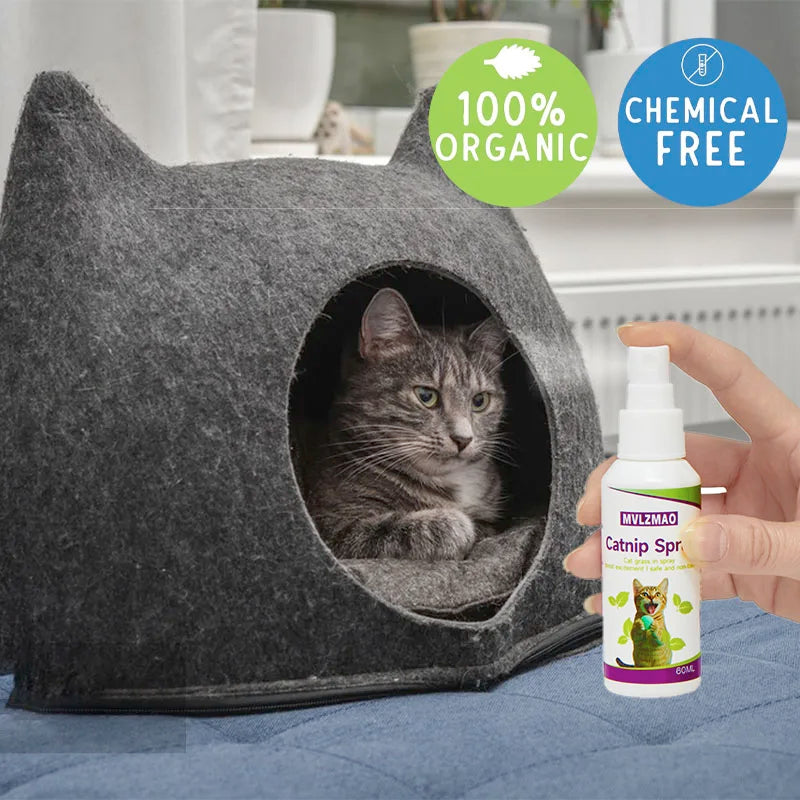 Catnip Spray for Cats,Cat Scratching Spray to Boost Play,Calm Stress & Renew Toys,Transparent Cat & Kitten Behaviour Spray 60 ml