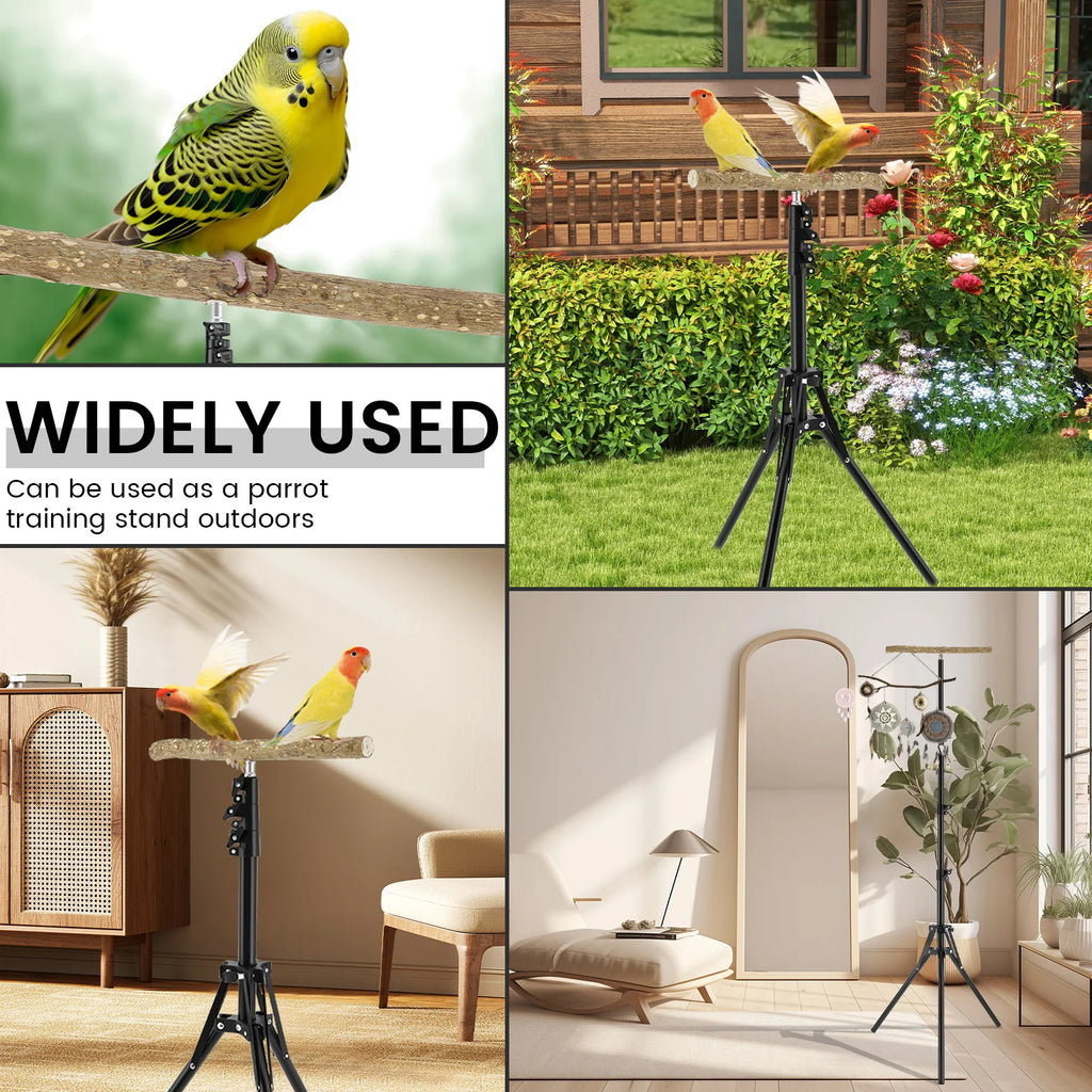 Wood Bird Branch Stand Height Adjustable Foldable Parrot Bird Training Perch Pet Bird Toy Portable Outdoor Perches Platform