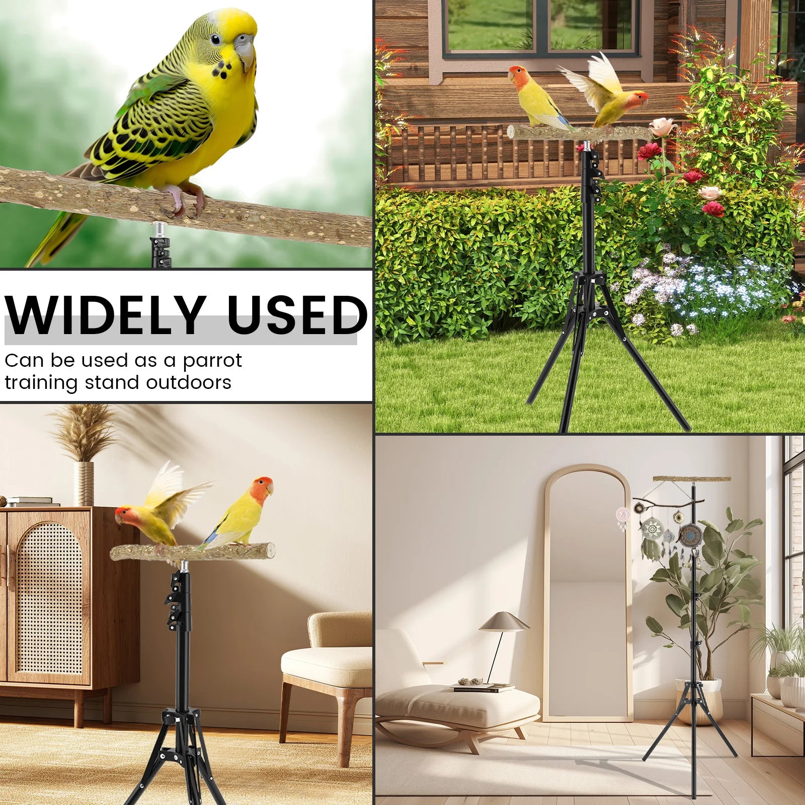 Wood Bird Branch Stand Height Adjustable Foldable Parrot Bird Training Perch Pet Bird Toy Portable Outdoor Perches Platform