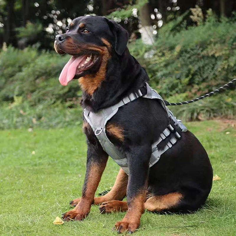 Big Dog Tactics Training Vest Harness Multi Functional Nylon Dog Adjustable Comfortable Control Dog Chest Harness Pet Supplies