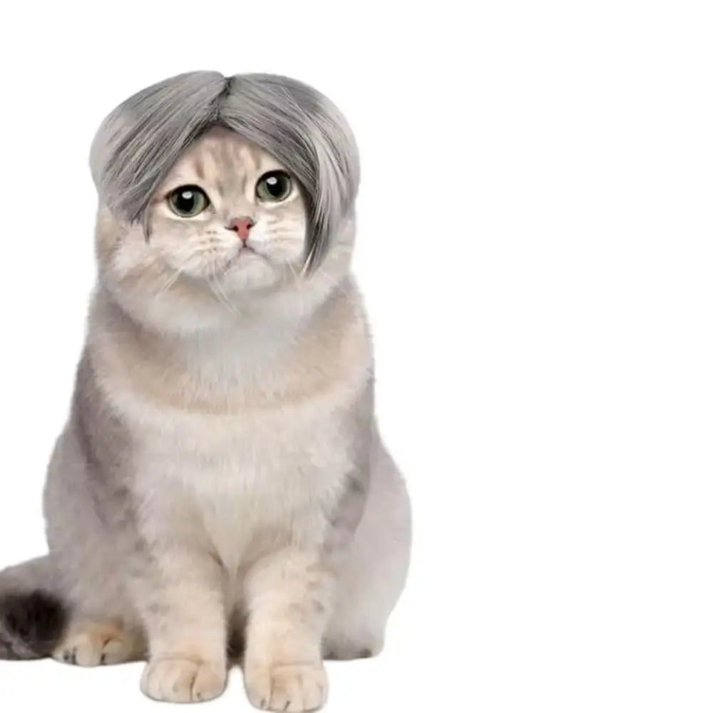 Cute Funny Pet Wig Adjustable Elastic Band Design Cat Wig Dog Wig Pet Cosplay Props Photography Prank Gifts