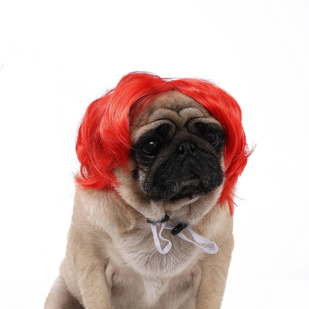 Cute Funny Pet Wig Adjustable Elastic Band Design Cat Wig Dog Wig Pet Cosplay Props Photography Prank Gifts