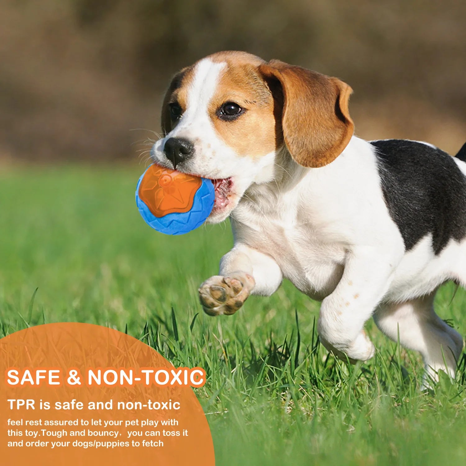 Floating Water Toy, Bite-Resistant Pet Ball for Dog Training, Dog Throwing Disc, Interactive Toy for Large