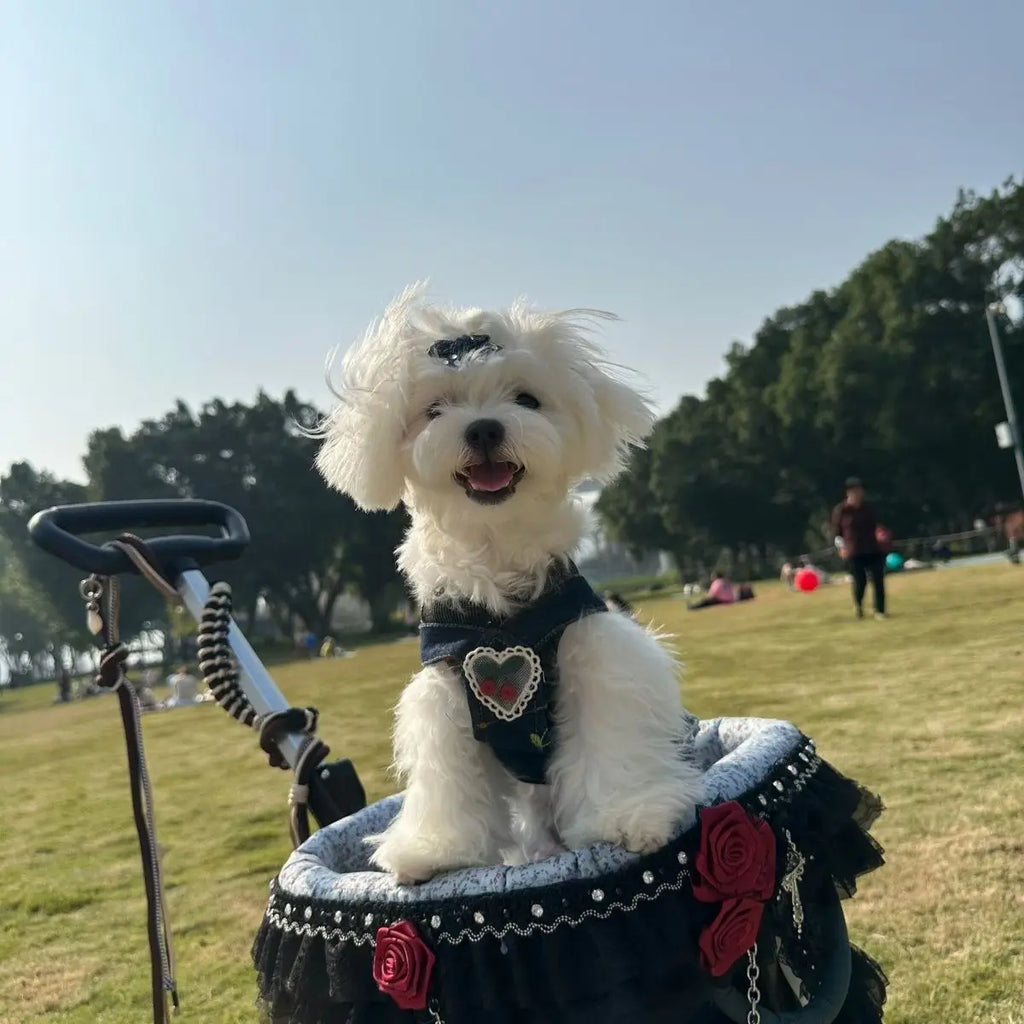 2026 SUMMER Pet Stroller with Complimentary MaT for Small 10 Lbs Dogs & Cats Lightweight Foldable Design One-clickFolding  Brake