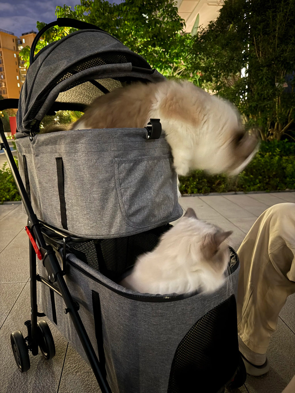 Double Pet Stroller with Detachable Carrier for Medium Small Dogs and Cats Durable Universal Wheels with Brakes Max for 30LBS