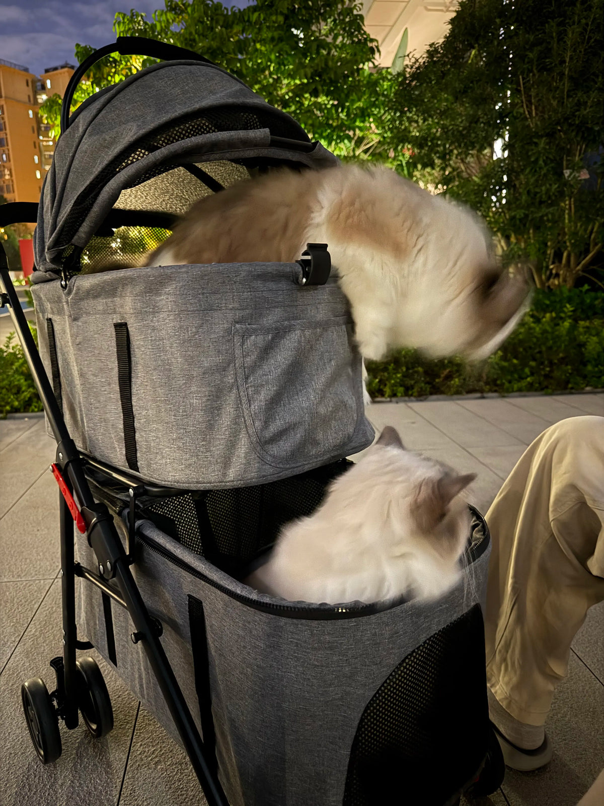 Double Pet Stroller with Detachable Carrier for Medium Small Dogs and Cats Durable Universal Wheels with Brakes Max for 30LBS