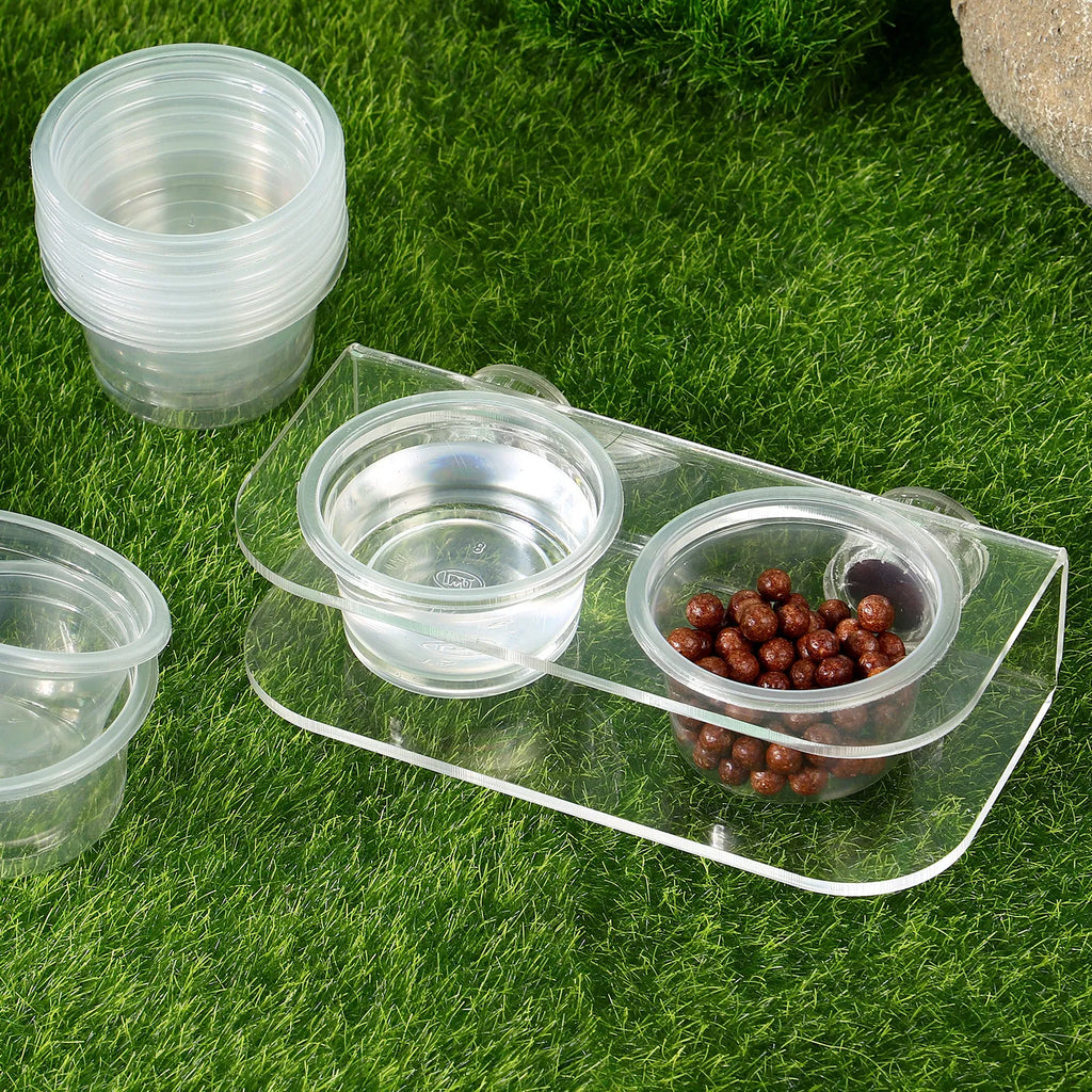 10 Reptile Feeding Cups Gecko Food Bowl Magnetic Pet Dishes Water Tank Supplies Easy Clean Durable Acrylic Small Animals Pet