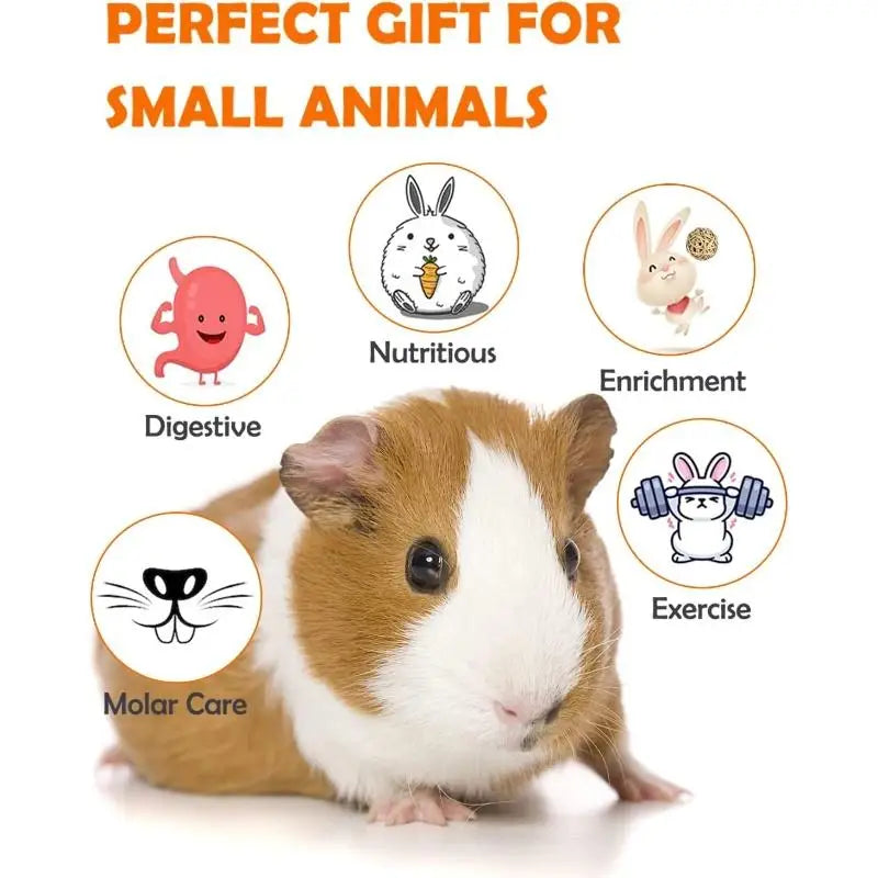 8-Piece Set Pet Rabbit Guinea Pig Dragon Cat Fun Toy Hamster Tooth Grinding Set Pet Tooth Grinding Snacks