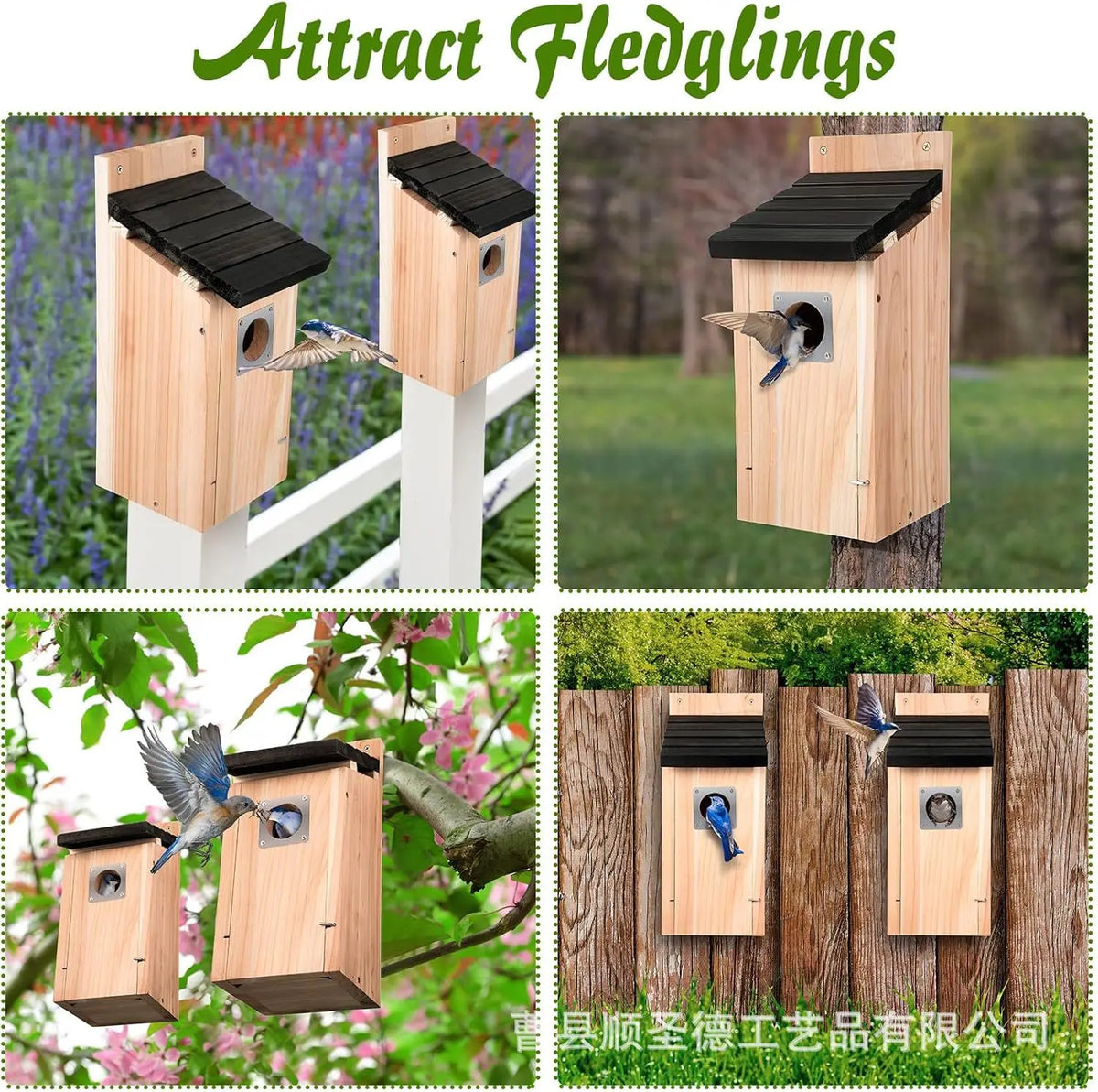 Bird Houses for Outside  Cedar Bird House Outdoor, Bluebird Finch Swallow Wren Chickadee Assembly Required