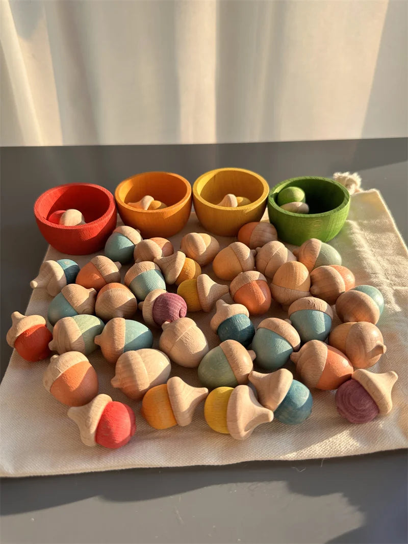 Rainbow Wooden  Blocks Loose Parts Toys Pastel Beech Acorns for Kids Open-end Play