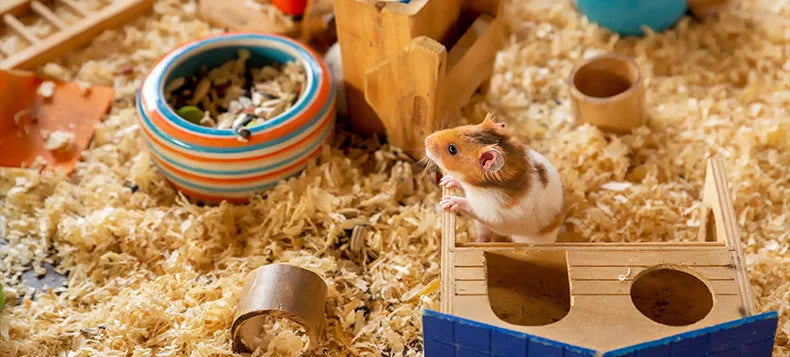 Wooden Guinea Pig Hideout Small Pet House Natural Wood Shelter for Hamsters Rats Hedgehogs Cage Decoration