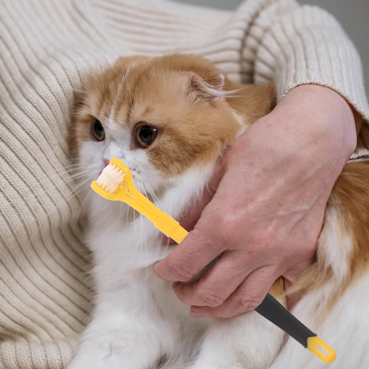 4Pcs Pet Toothbrush Three-Sided Triple-Head Design Soft Dental Brush Medium Dogs Cats Puppy Teeth Cleaning Cat Tooth Brush