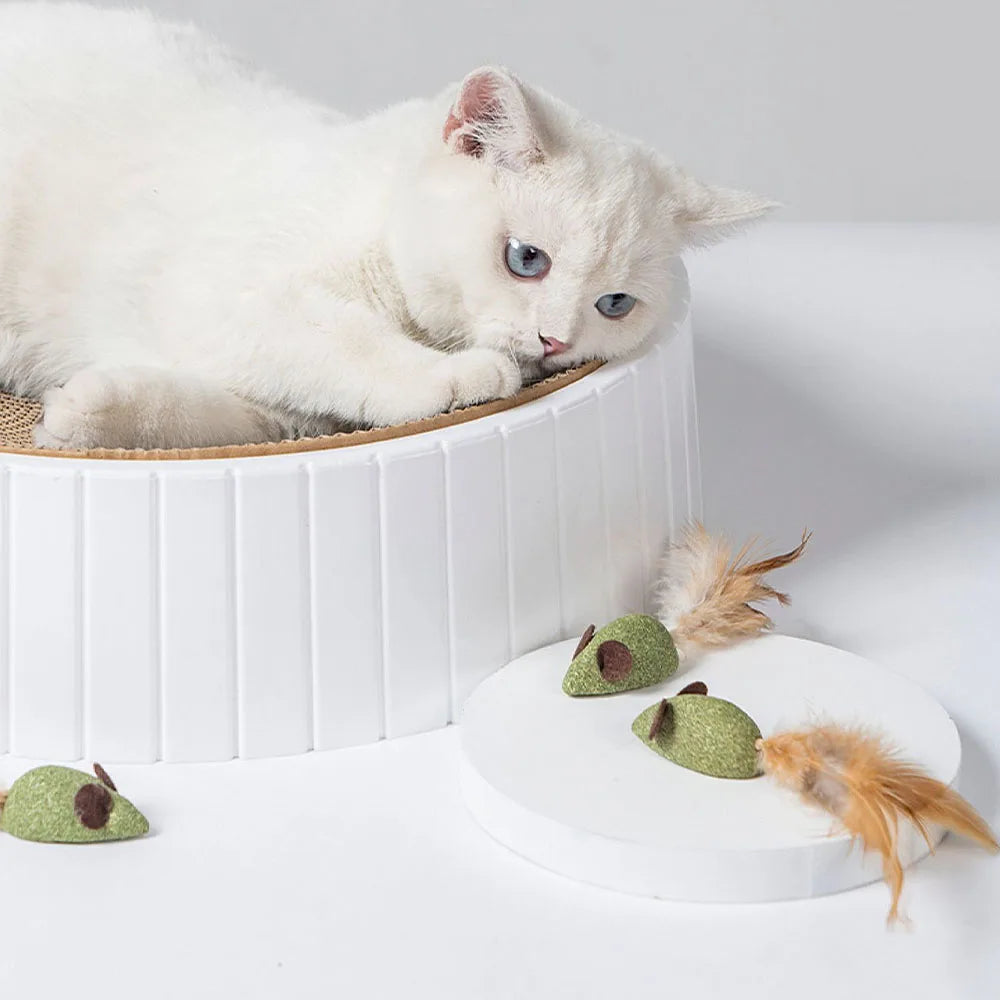 Mouse Cat Toys Catnip Feather Ball Self Cleaning Teeth Interactive Home Chasing Game Toy Products Cat Mint Ball Training Toys