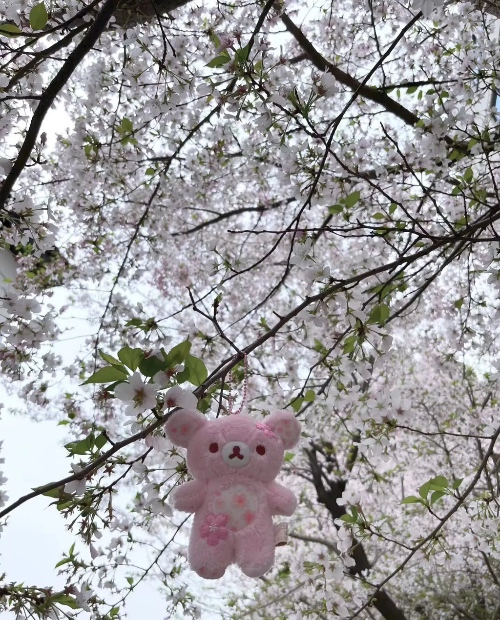 Rilakkuma Pink Cherry Blossom Floral Bear Plush Toy Stuffed Animal Soft Sleeping Hug Pillow Doll Birthday Gift For Women
