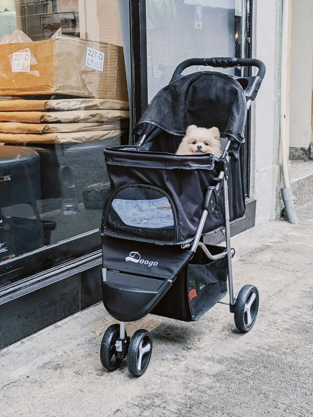 Pet Stroller with Three Wheels, Lightweight and Foldable, Suitable for Home Use, Small Outdoor Pets, and Portable Pet Supplies