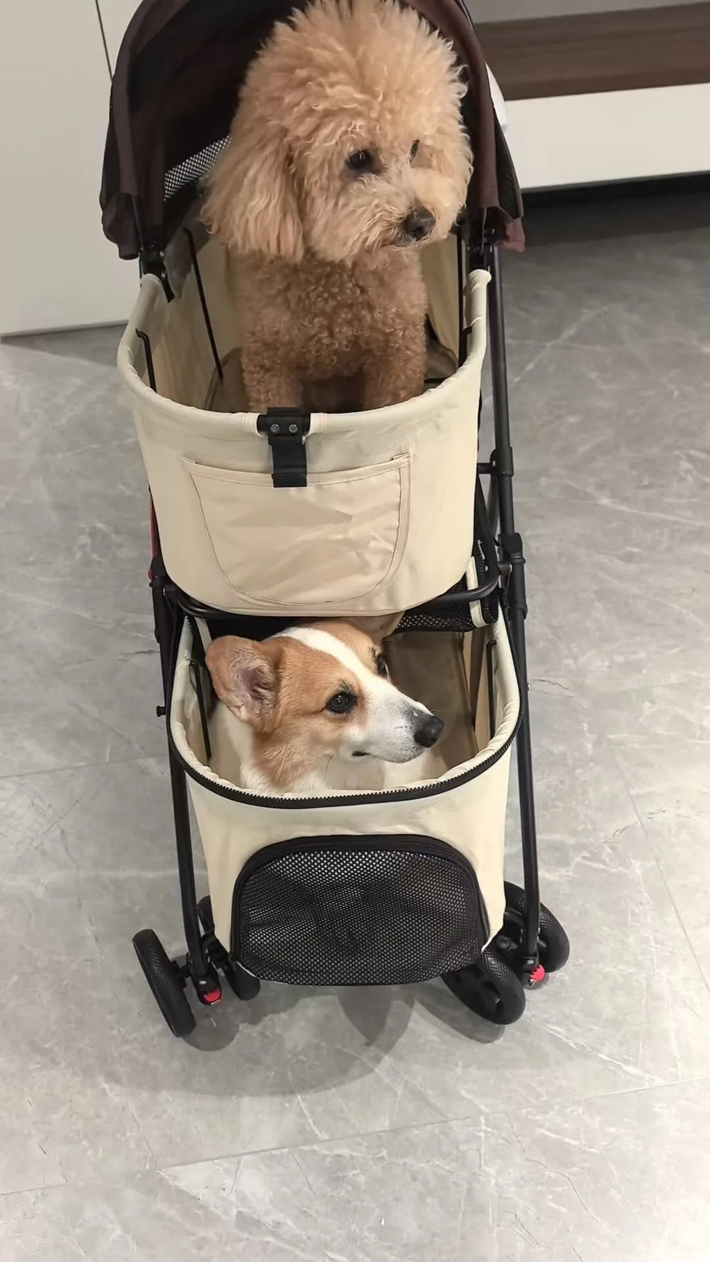 Double Pet Stroller with Detachable Carrier for Medium Small Dogs and Cats Durable Universal Wheels with Brakes Max for 30LBS
