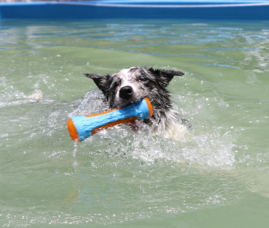 Floating Water Toy, Bite-Resistant Pet Ball for Dog Training, Dog Throwing Disc, Interactive Toy for Large