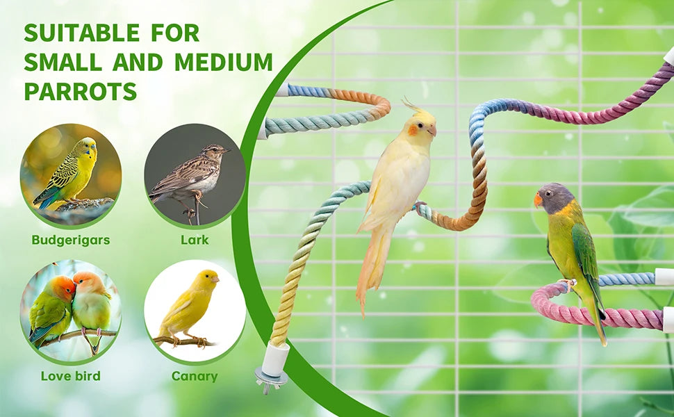radient Colorful Bird Rope Perch Stand for Bird Cages Bendable Climbing Rope Cage Accessory Toy for Cockatiel Parakeet ﻿ ﻿
