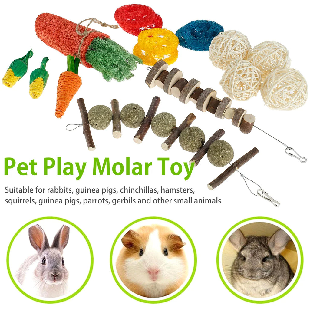 16pcs Small Animal Chew Toys Bundle For Rabbit Bunny Hamster Guinea Chinchillas Tooth Cleaning Molar Grinding Toys Pet Accessori