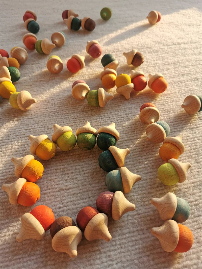 Rainbow Wooden  Blocks Loose Parts Toys Pastel Beech Acorns for Kids Open-end Play