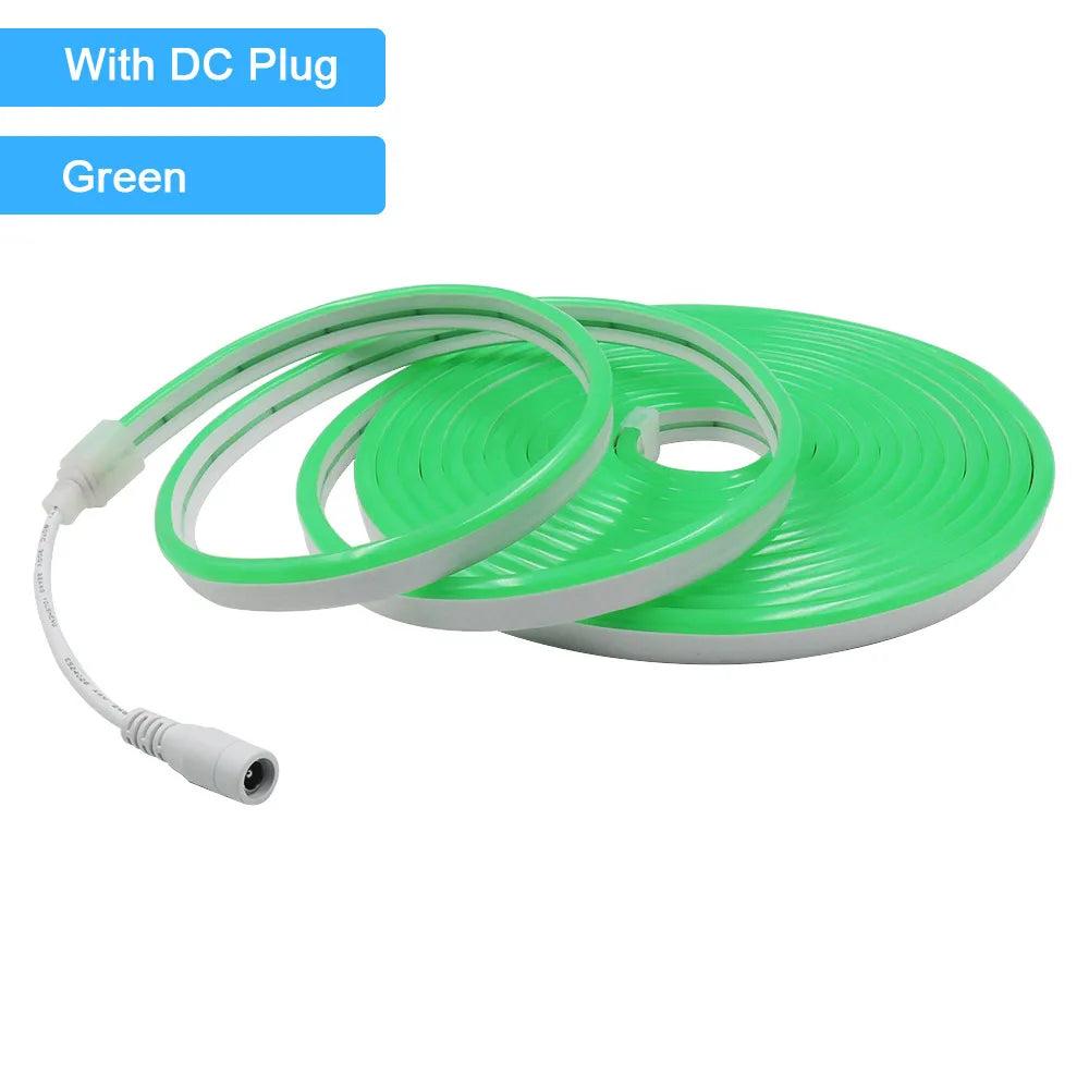 12V 24V LED Neon Light Strip Waterproof Neon Sign 6X12mm Silicone Rope Lights Flexible Lamp Decoration with DC Plug/2pin Wire