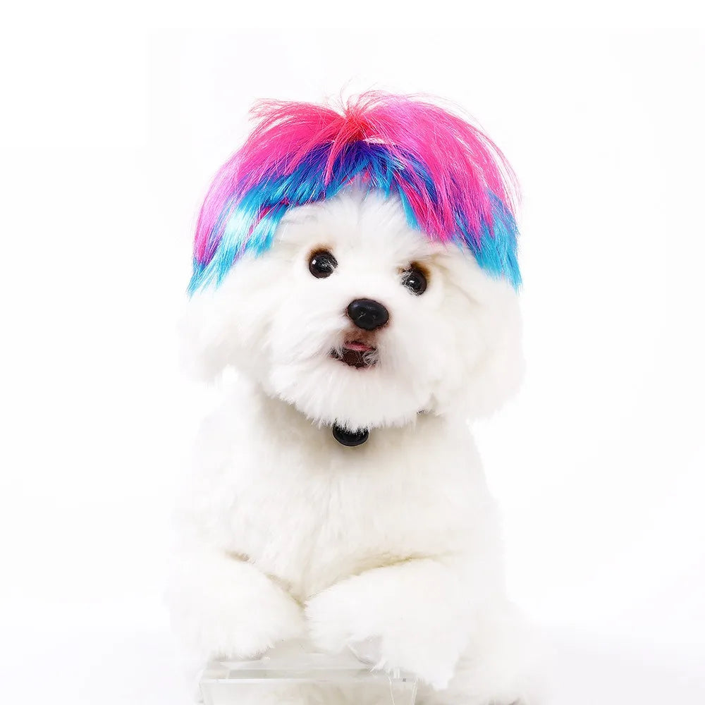 Cute Funny Pet Wig Adjustable Elastic Band Design Cat Wig Dog Wig Pet Cosplay Props Photography Prank Gifts