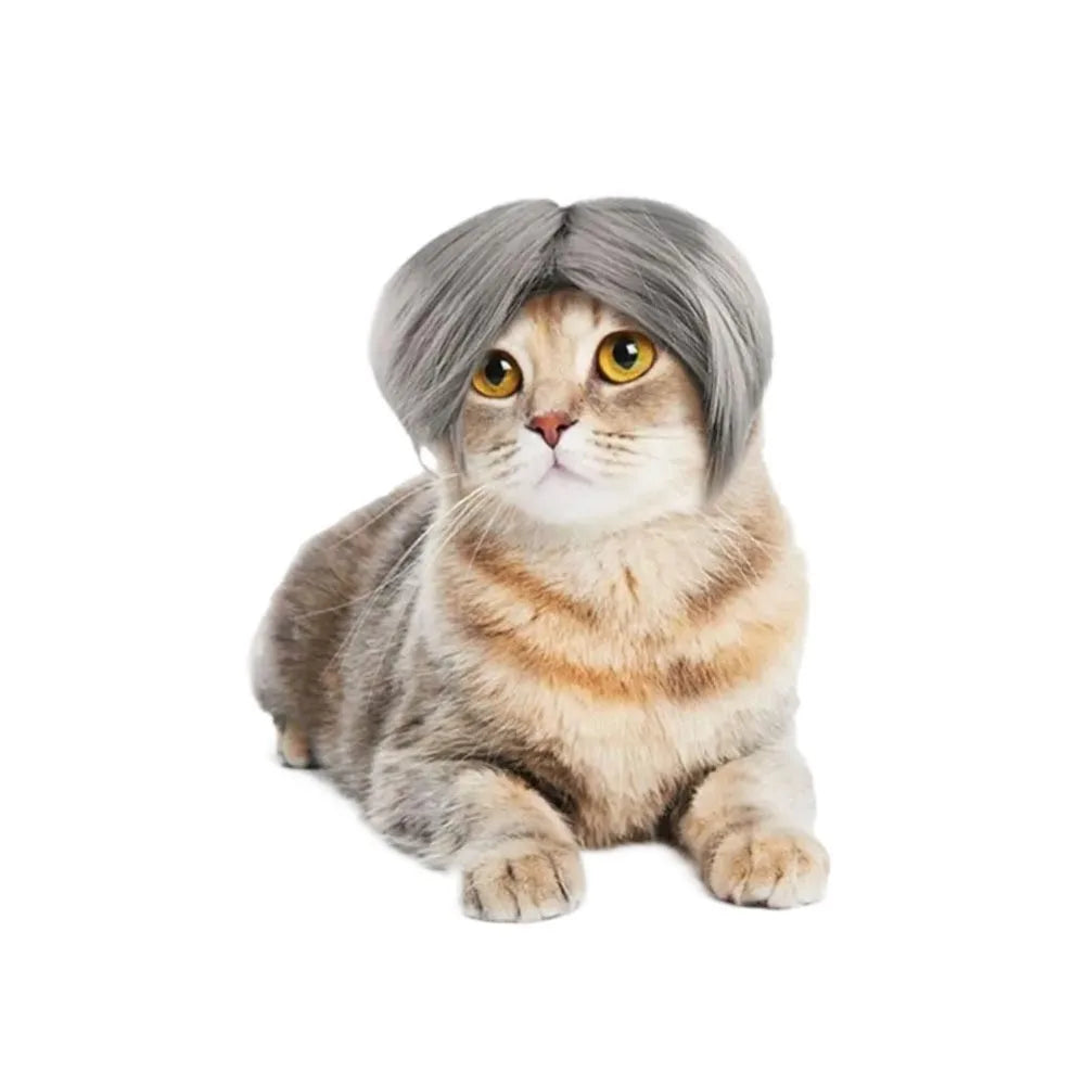 Cute Funny Pet Wig Adjustable Elastic Band Design Cat Wig Dog Wig Pet Cosplay Props Photography Prank Gifts