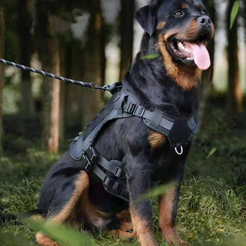 Big Dog Tactics Training Vest Harness Multi Functional Nylon Dog Adjustable Comfortable Control Dog Chest Harness Pet Supplies