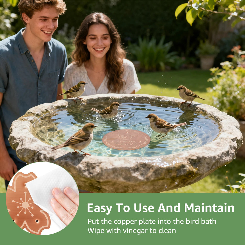 2/3Pcs Copper Bird Bath Purification Disk Garden Outdoor Feeder Tray Cleaner Bird Bath Water Fountain Fishpond Lawn