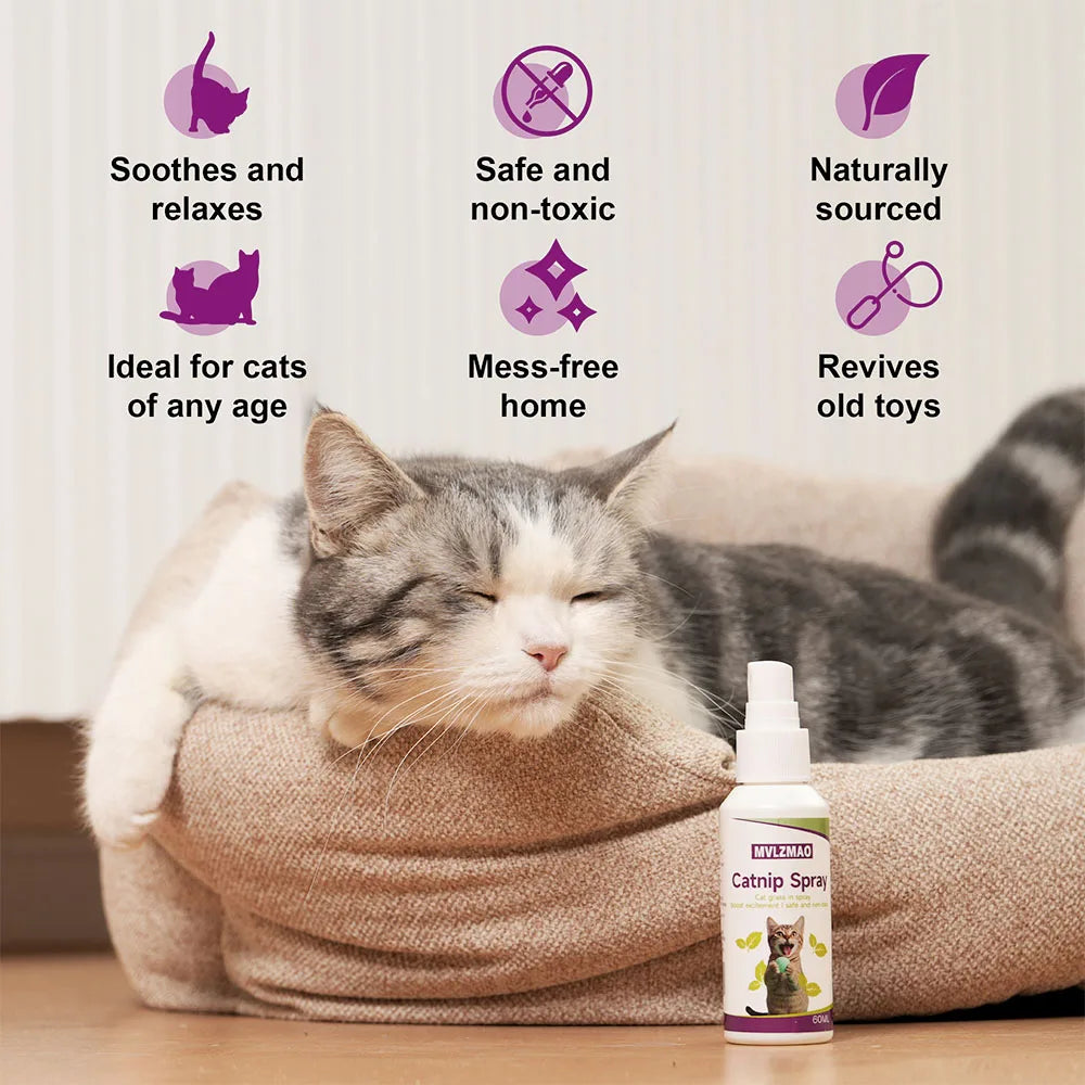 Catnip Spray for Cats,Cat Scratching Spray to Boost Play,Calm Stress & Renew Toys,Transparent Cat & Kitten Behaviour Spray 60 ml