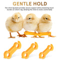 12Pcs Chick Leg Stabilizer Bird Corrector Chicken Leg Band Ring Supplies For Your Chickens Brace Pet Pvc Bands Foot Birds Baby