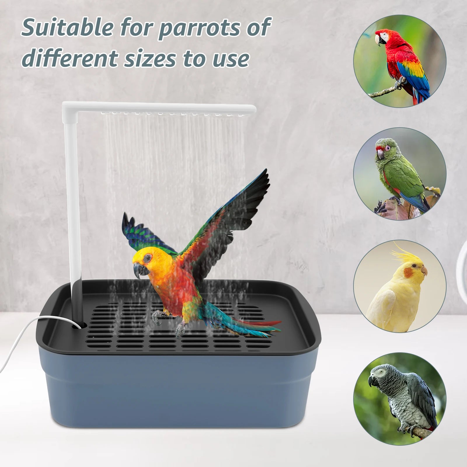 Automatic Pet Birds Parrots Bath Circulating Water Bathtub USB Electric Parakeet Bathtub Shower Fountain birds supplies