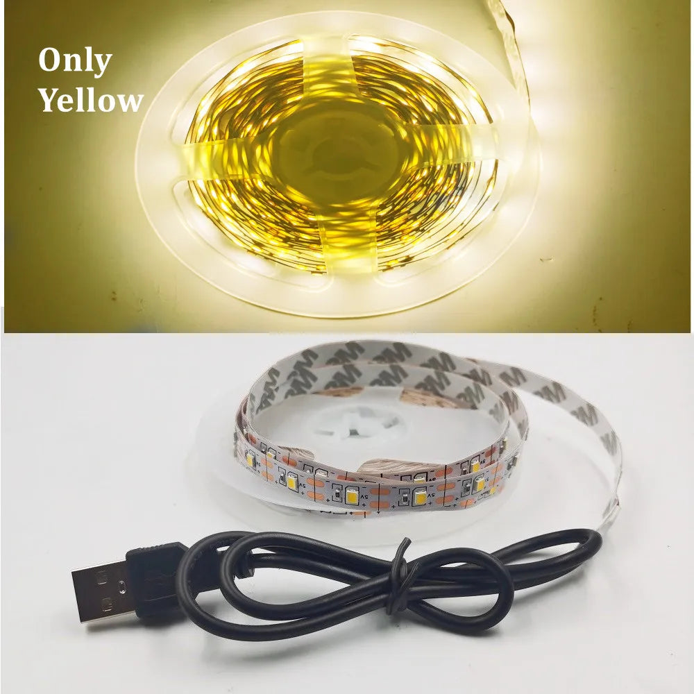 5M USB LED Strip Light 5V 3528 1 Meter 5 Meter Warm Cool White Pink Green Blue Red SMD Ribbon Ceiling Cabinet Light Waterproof