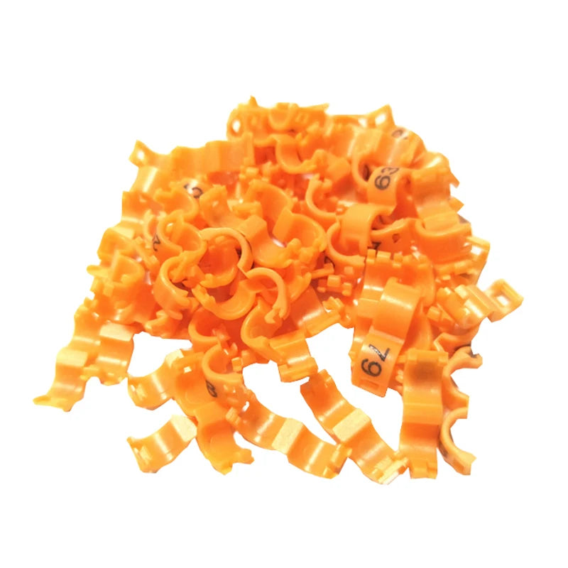100Pcs Bird clip ring 2.7mm 3mm 4mm 4.5mm 5mm Plastic foot rings Colorful birds, Acacia birds pigeon All kinds of bird foot ring