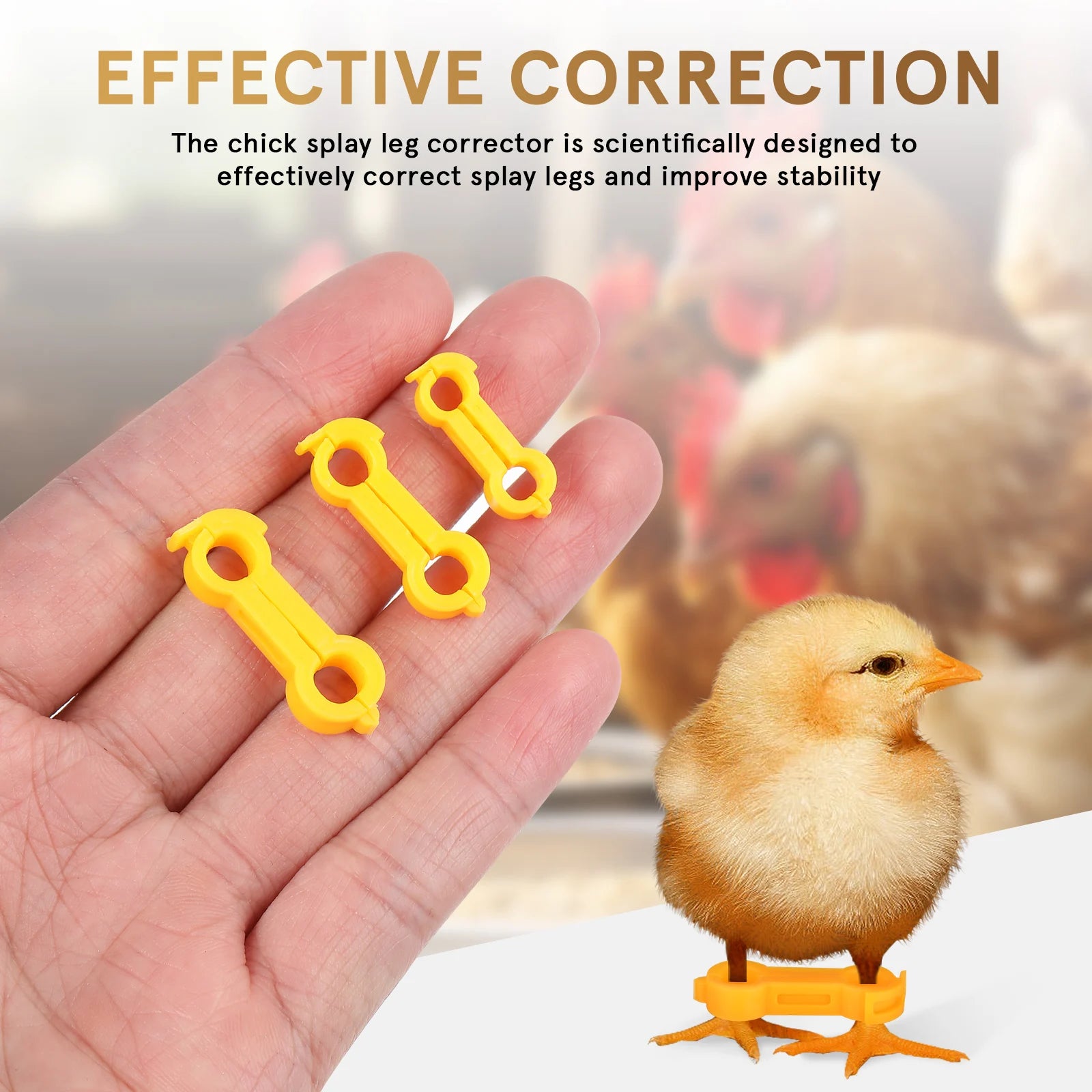 12Pcs Chick Leg Stabilizer Bird Corrector Chicken Leg Band Ring Supplies For Your Chickens Brace Pet Pvc Bands Foot Birds Baby