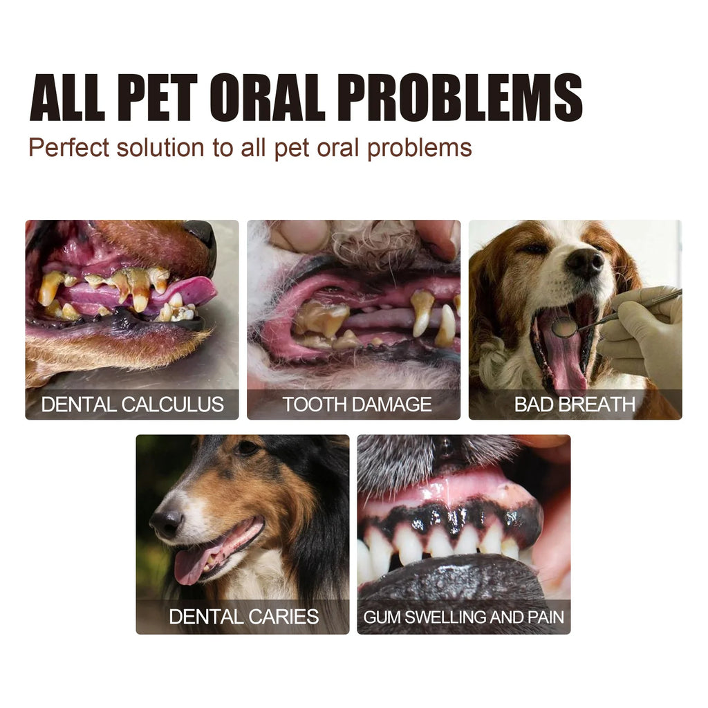 Pet Dental Care Spray for Dogs Cats Bad Breath Eliminator Hygiene Spray Tartar Plaque Control Fresh Breath Natural Formula 30ml