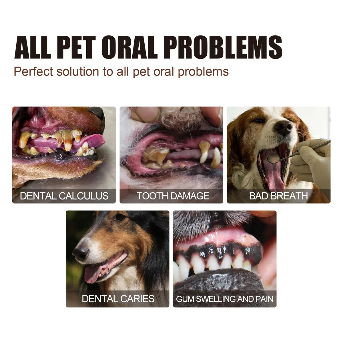 Pet Dental Care Spray for Dogs Cats Bad Breath Eliminator Hygiene Spray Tartar Plaque Control Fresh Breath Natural Formula 30ml