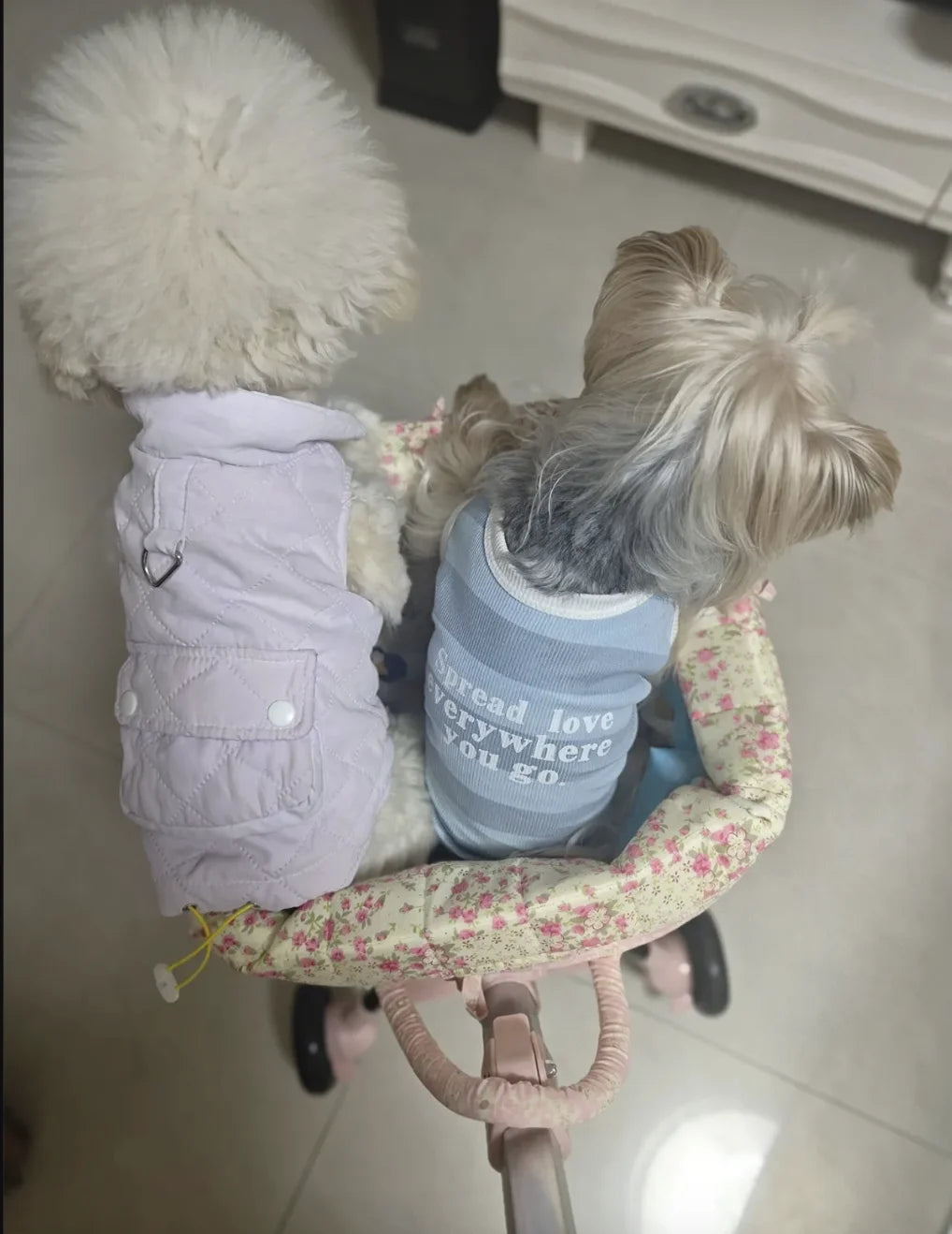 2026 SUMMER Pet Stroller with Complimentary MaT for Small 10 Lbs Dogs & Cats Lightweight Foldable Design One-clickFolding  Brake