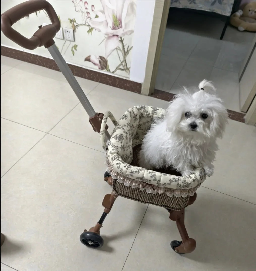 2026 SUMMER Pet Stroller with Complimentary MaT for Small 10 Lbs Dogs & Cats Lightweight Foldable Design One-clickFolding  Brake