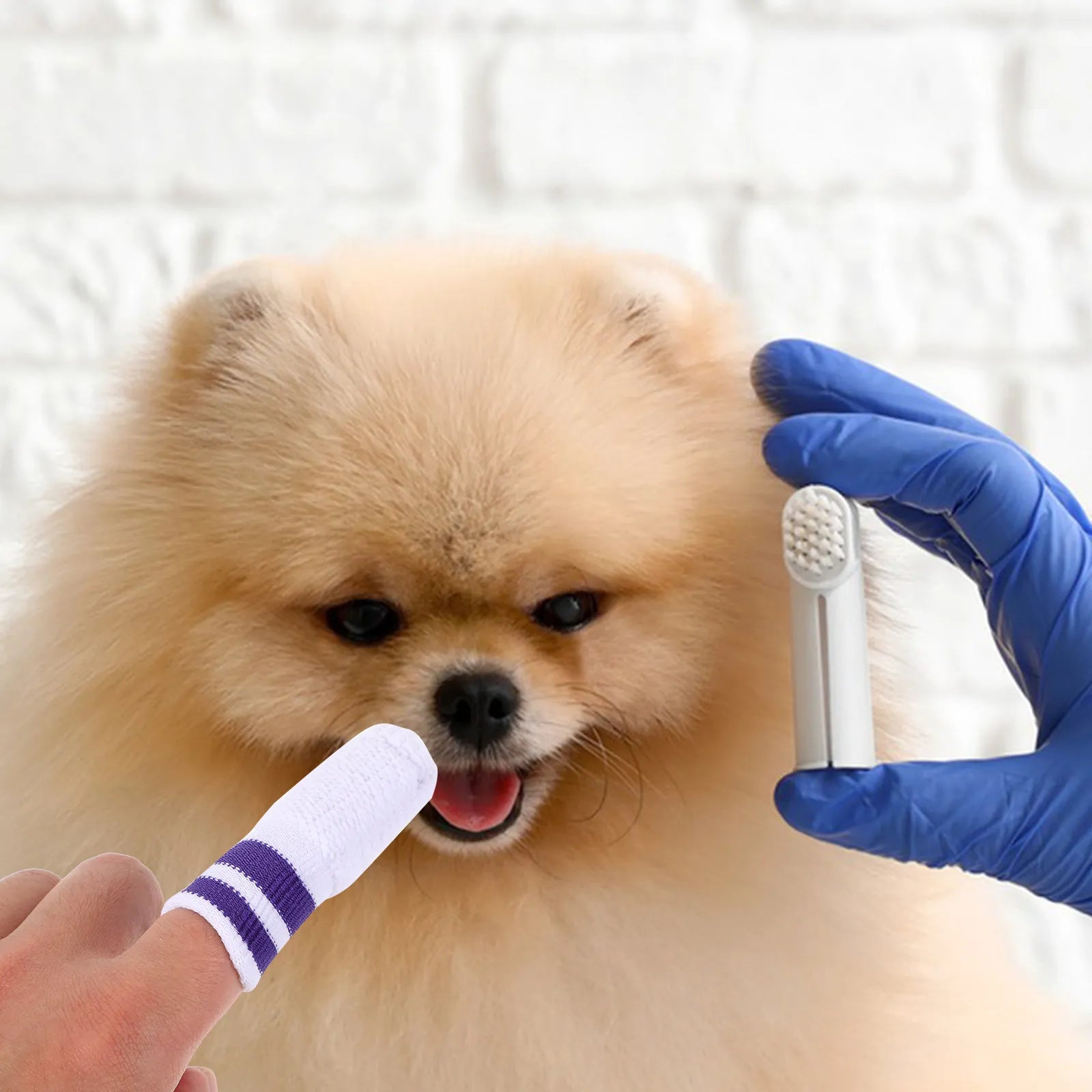 6Pcs Pet Finger Toothbrush Soft Nylon for Cats Dogs Dental Plaque Remover Teeth Cleaning Fresh Breath Suitable All Sizes