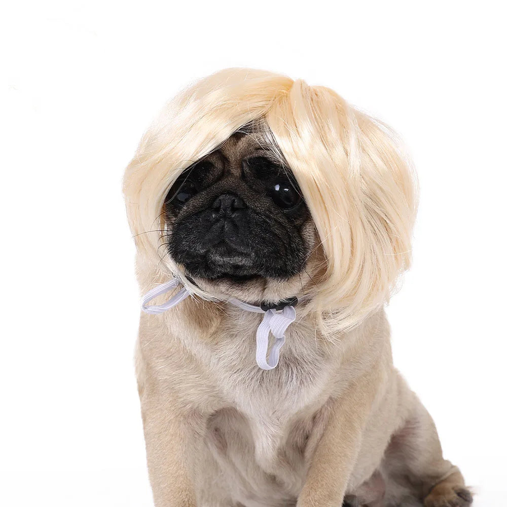 Cute Funny Pet Wig Adjustable Elastic Band Design Cat Wig Dog Wig Pet Cosplay Props Photography Prank Gifts